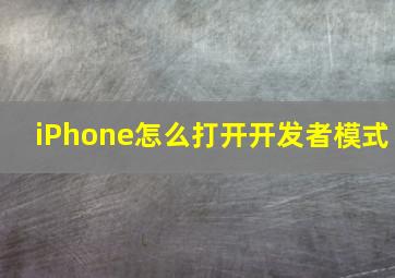 iPhone怎么打开开发者模式