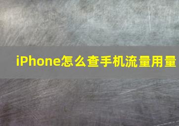 iPhone怎么查手机流量用量