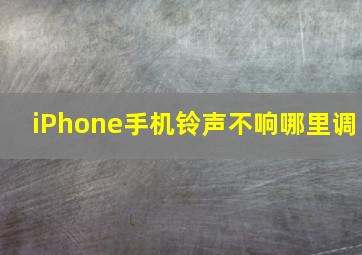 iPhone手机铃声不响哪里调