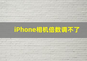 iPhone相机倍数调不了