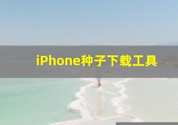 iPhone种子下载工具