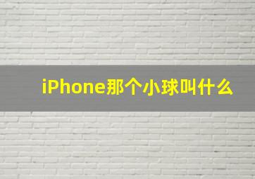 iPhone那个小球叫什么