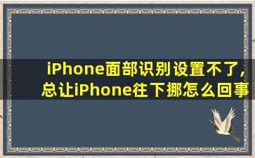 iPhone面部识别设置不了,总让iPhone往下挪怎么回事