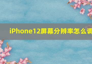 iPhone12屏幕分辨率怎么调