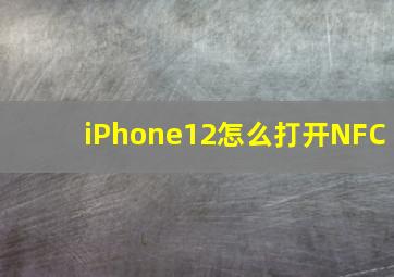 iPhone12怎么打开NFC