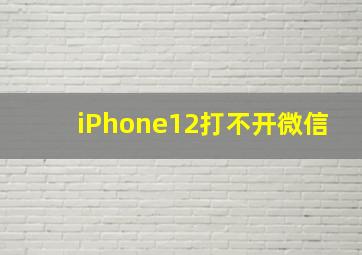 iPhone12打不开微信