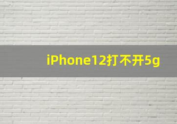 iPhone12打不开5g