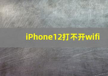 iPhone12打不开wifi