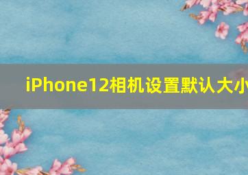 iPhone12相机设置默认大小