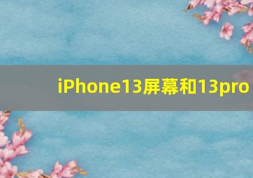 iPhone13屏幕和13pro