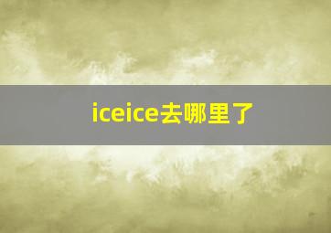 iceice去哪里了