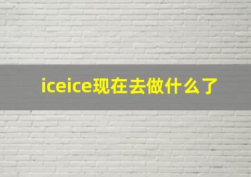 iceice现在去做什么了