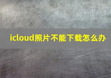 icloud照片不能下载怎么办