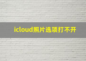 icloud照片选项打不开