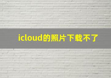 icloud的照片下载不了