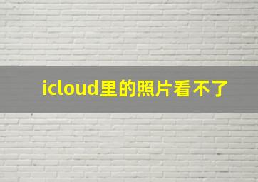 icloud里的照片看不了