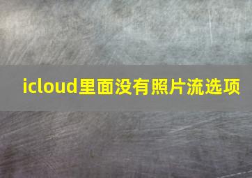 icloud里面没有照片流选项