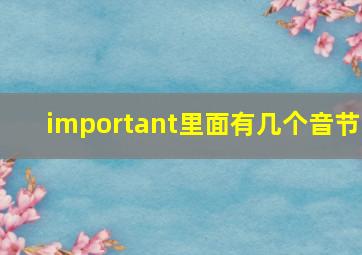 important里面有几个音节