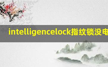 intelligencelock指纹锁没电了