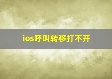 ios呼叫转移打不开