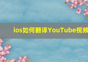 ios如何翻译YouTube视频