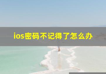 ios密码不记得了怎么办