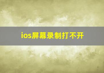 ios屏幕录制打不开