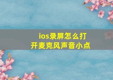 ios录屏怎么打开麦克风声音小点