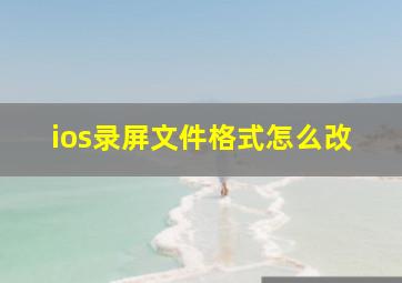 ios录屏文件格式怎么改