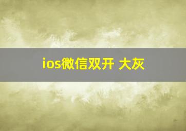 ios微信双开 大灰