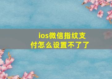 ios微信指纹支付怎么设置不了了