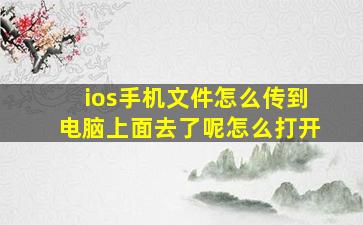 ios手机文件怎么传到电脑上面去了呢怎么打开