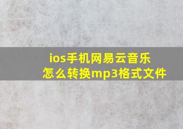 ios手机网易云音乐怎么转换mp3格式文件