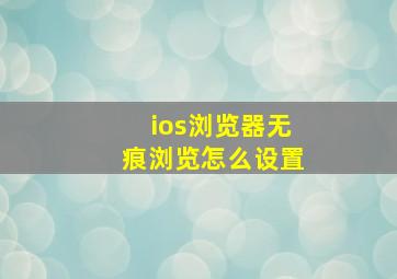 ios浏览器无痕浏览怎么设置