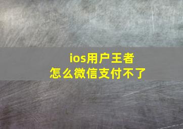 ios用户王者怎么微信支付不了