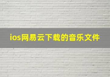 ios网易云下载的音乐文件