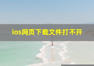 ios网页下载文件打不开