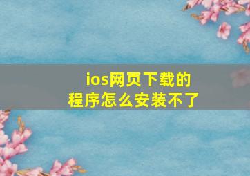 ios网页下载的程序怎么安装不了