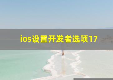 ios设置开发者选项17