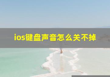 ios键盘声音怎么关不掉