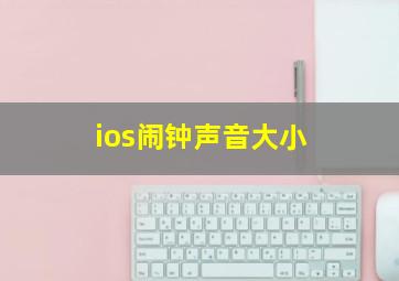 ios闹钟声音大小