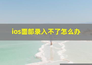 ios面部录入不了怎么办