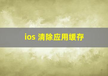 ios 清除应用缓存