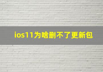 ios11为啥删不了更新包