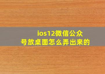 ios12微信公众号放桌面怎么弄出来的