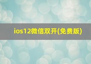 ios12微信双开(免费版)