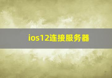 ios12连接服务器