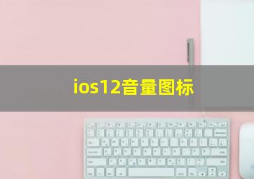 ios12音量图标