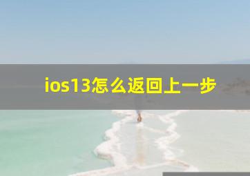 ios13怎么返回上一步