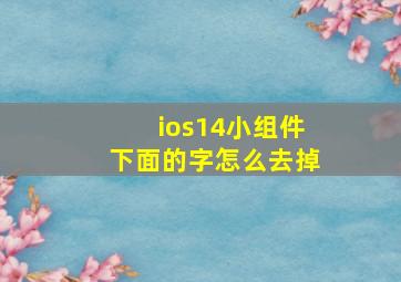 ios14小组件下面的字怎么去掉